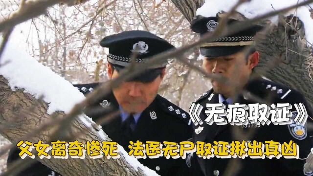 父女离奇惨死,尸体化为飞灰,法医却靠无尸取证揪出真凶!犯罪