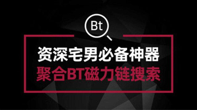 资深宅男老司机必备神器 聚合Bt搜索引擎 找资源再不必东奔西跑#电脑技巧#电脑技术#电脑知识