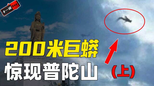 普陀山“菩萨显灵”事件!14级台风不敢接近,村民纷纷跪拜磕头