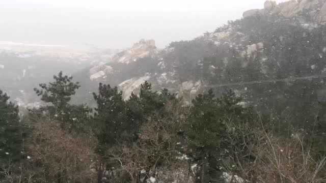 速戳!青岛下雪了,崂山的雪是这样……