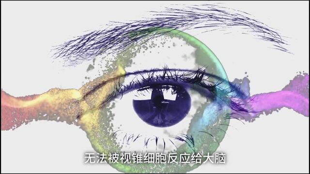 世界上竟然不存在紫色?那你平时看到的紫色是什么颜色呢?