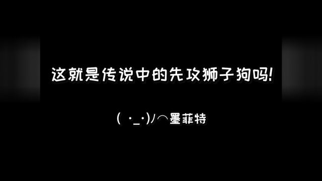 石头人:我 被 秒 了?