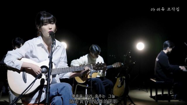 下一站会遇到你吗?IU 李知恩《Next Stop》Live版 中韩双字