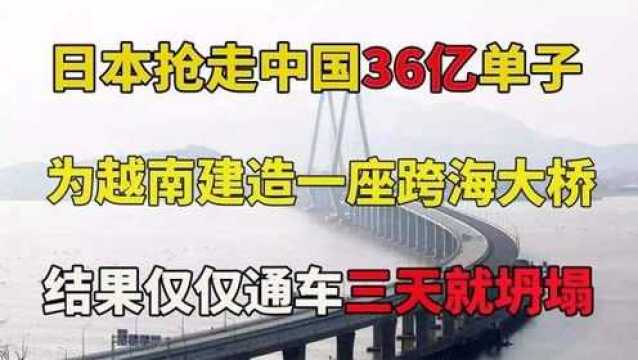 日本又“作妖”伙同越南破坏中国36亿大单,结果却被啪啪打脸