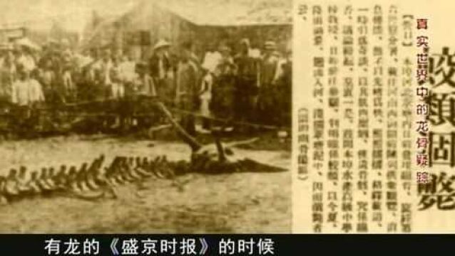 古时候便有了“龙”的记载,1934年的一篇“龙”的报道引起轰动