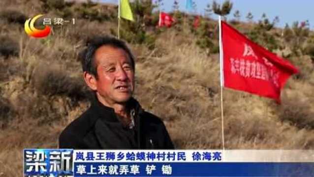 【让“母亲河”成为幸福河——吕梁践行黄河流域生态保护和高质量发展系列报道(一)】筑牢黄河安澜的生态屏障