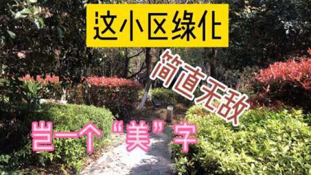 宁波这个小区,绿化跟森林一样,网友:住着真舒服啊