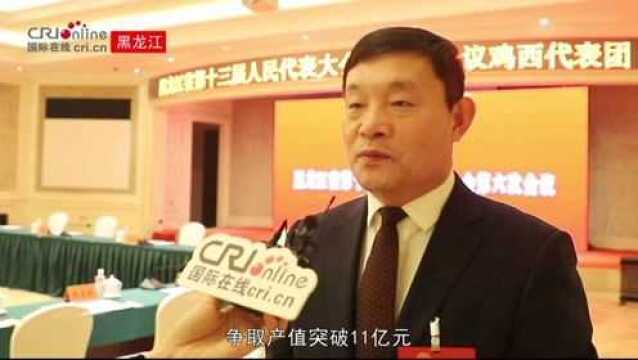 黑龙江省人大代表王佳喜:“两翼齐飞”领航黑龙江省煤炭产业绿色发展