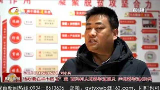 庆阳:做强产业发展链条 助力乡村振兴