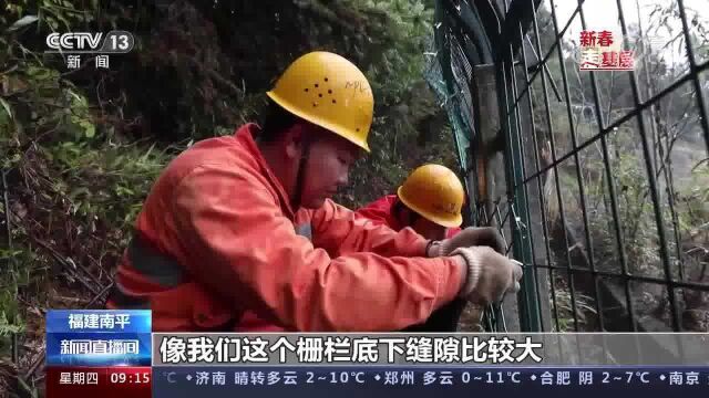 新春走基层 高铁线上的跨界“林管员”