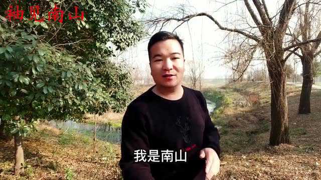 益母草又称“女人草”,用水煮一下作用厉害了,女性知道要收藏