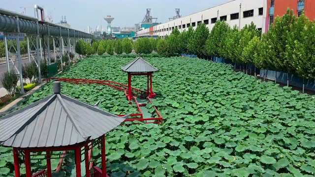 樊奇选调研城东水厂及管网建设项目推进情况