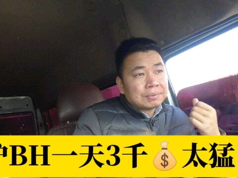 沪BH一天3000块太猛了,太羡慕了!#我的2021之日常