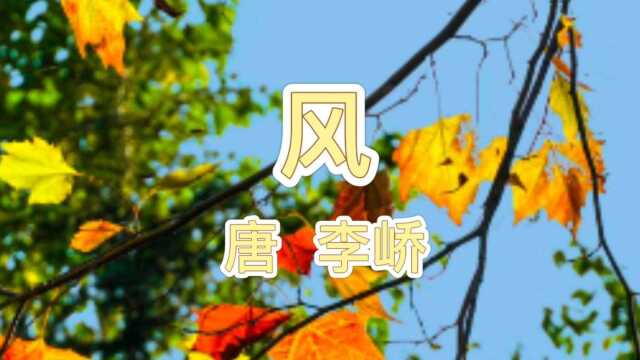 朗诵李峤的《风》人教版语文一年级上