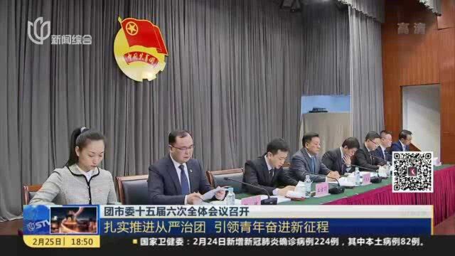 团市委十五届六次全体会议召开:扎实推进从严治团 引领青年奋进新征程