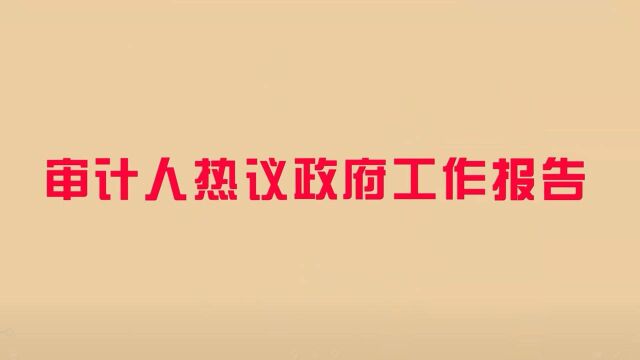 审计署南京办郑松文审计人热议政府工作报告