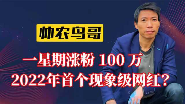 帅农鸟哥仅11个视频短短两月吸粉百万,超越张同学,又一黑马诞生