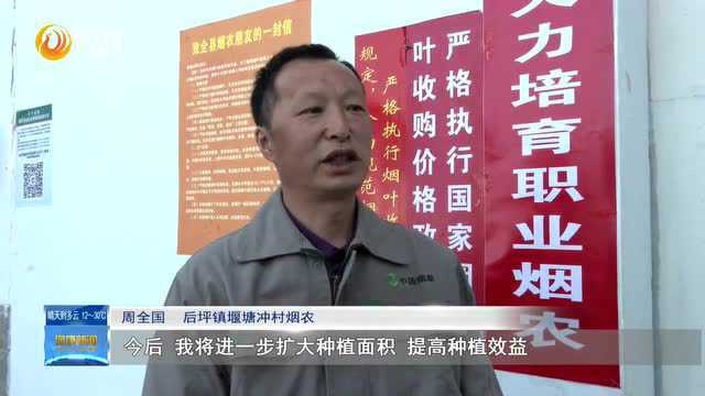 全县唯一!后坪镇这名烟农获全省“十佳”职业烟农称号