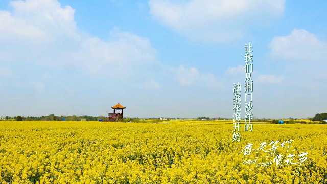 这个春天,让我们从荆门沙洋的油菜花海天始