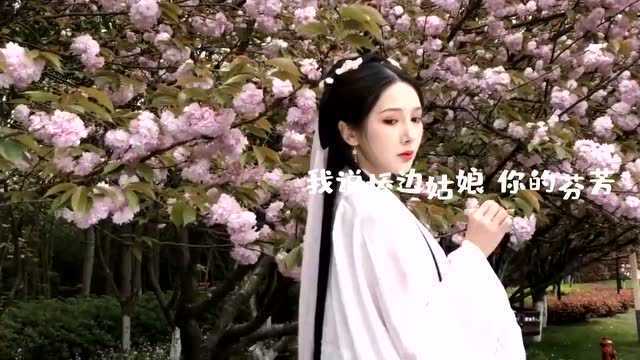 抖音热曲《桥边姑娘》,十分好听的民谣,唱出对美好爱情的向往