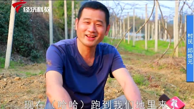 科技兴农 科普惠农—— 韶关学院服务乡村振兴科技小院