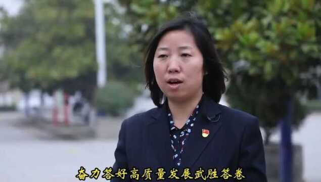 武胜桥镇党委书记田丽接受专访