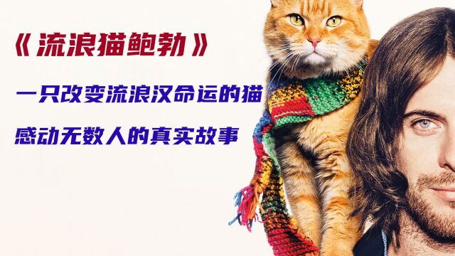 流浪猫鲍勃:一只流浪猫改变了流浪汉的命运,由真实事件改编,感动无数人