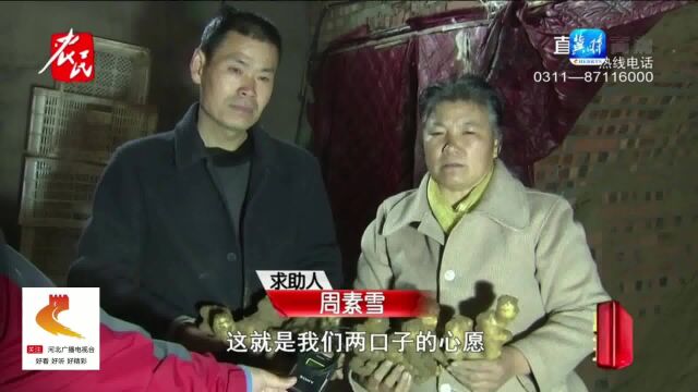 石家庄高邑:孩子学费难凑齐,老乡急得直哭!现批发生姜5毛一斤