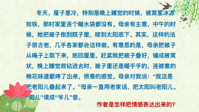 统编版语文六年级下册《习作例文》知识点、同步练习、课堂笔记、教学视频