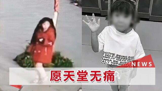 河南7岁女童遇害,遗体被扔村外500米垃圾坑,监拍背影令人心痛