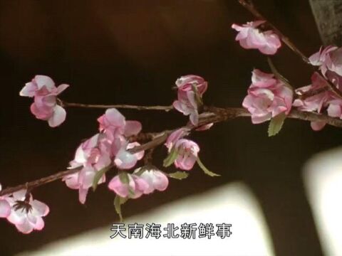 票房惨败,影视公司倒闭,《大话西游》凭什么能成为热门电影?