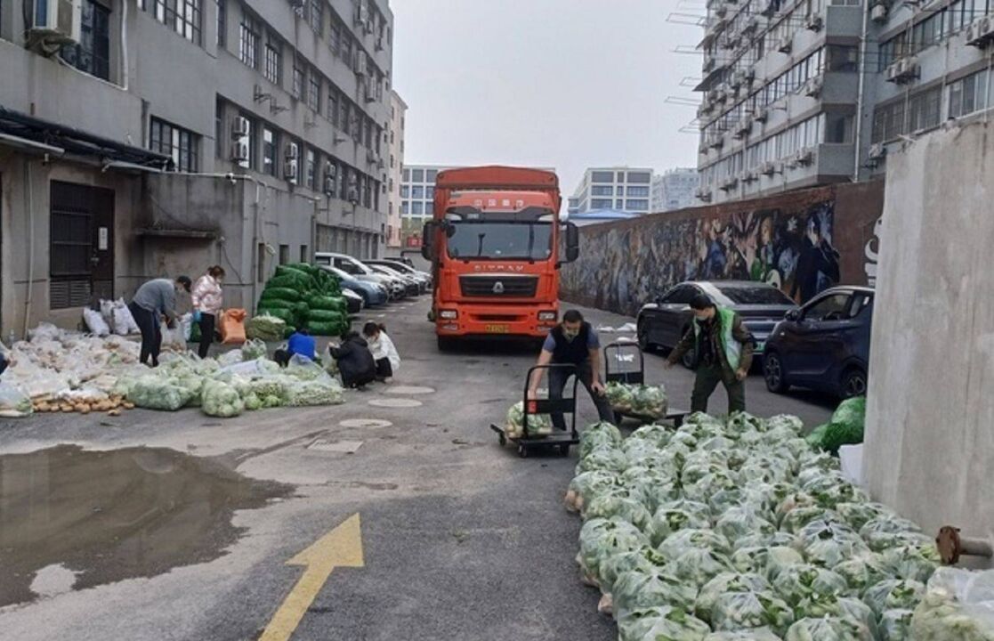 上海老兵邀山东战友送10吨平价菜 :给力,山东人民热心豪爽