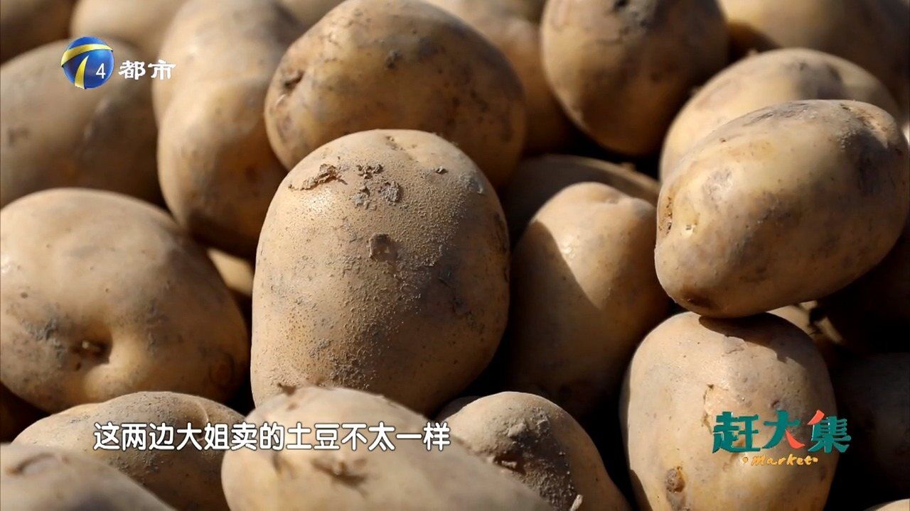 新老土豆如何分辨?大姐教你窍门!