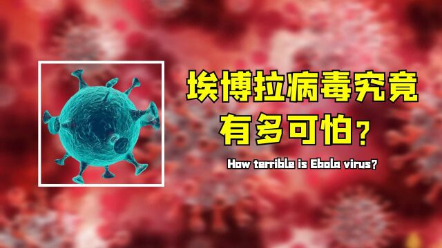 埃博拉病毒究竟有多恐怖?致死率最高可达90%,堪称内脏绞肉机