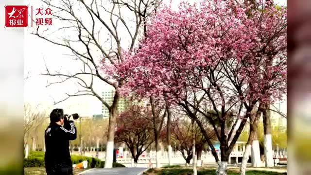 ︱人间芳菲四月天 公园风景美如画