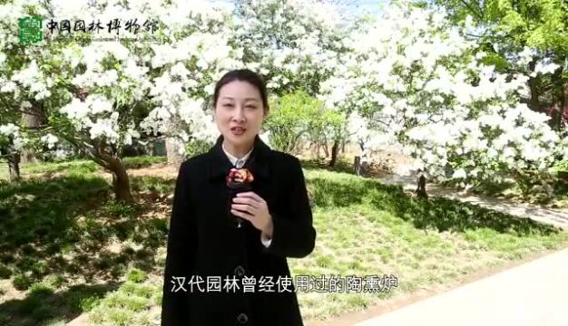 社教 | 园居香境——袅袅香烟中的海外仙山