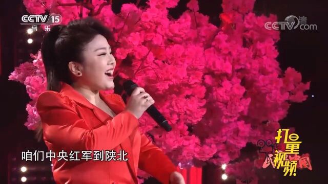 重温经典!沙莎演唱《山丹丹开花红艳艳》,极具特色