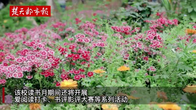 抄书接力,大学生用“倔强的艺术”迎读书日