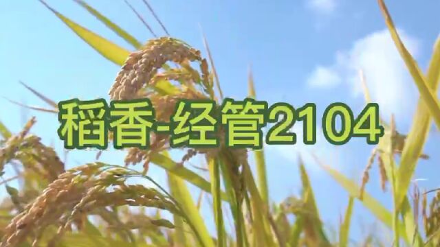 东华大学旭日工商管理学院第十九届五四云歌会——经管2104