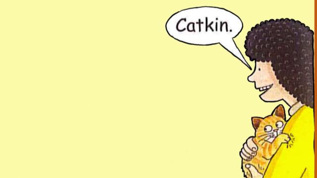 豆豆爹的故事“catkin the kitten”