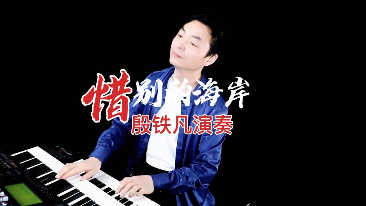 《惜别的海岸》双排键电子琴演奏:殷铁凡