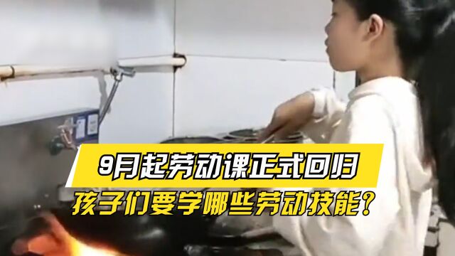 9月起劳动课将正式成为独立课程,孩子们要学哪些劳动技能?