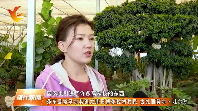 莎车县:科技引领“种出”幸福生活