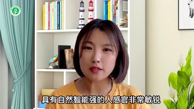 【家庭教育宣传周】婴幼儿早期教育讲堂第二讲:热爱生活——自然观察智能