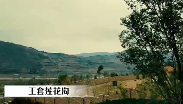 六盘山下\