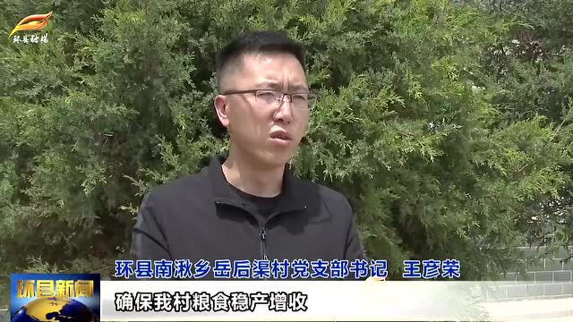 环县:在田作物长势良好 夏秋粮收成有望