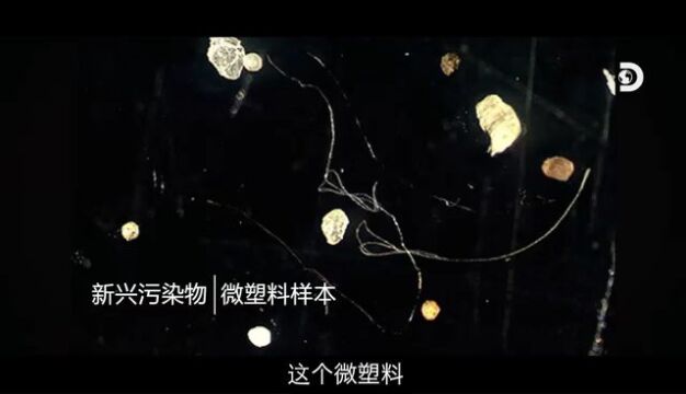 携手Discovery科学探索,沁园探寻纯净水源的奥秘