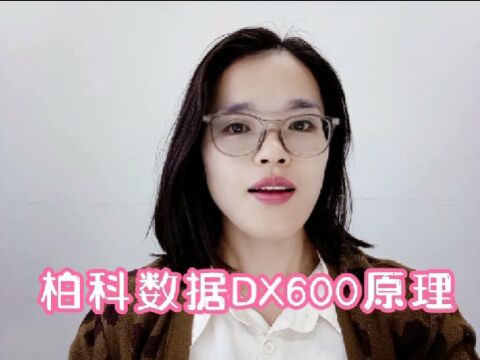 柏科数据DX600原理