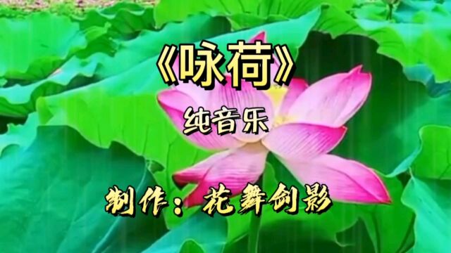 《咏荷》纯音乐欣赏,极好听