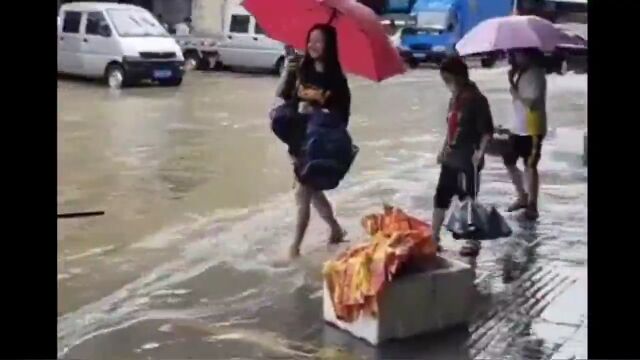 好大水!德庆悦城龙母庙都水浸了!闻“汛”而动防汛抗洪